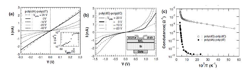 위의 I-V(전류-전압) 곡선들은 poly(dA)-poly(dT)(a)와 poly(dG)-poly(dC) (b)에 대하여 여러 게이트 전압(gate voltage)으로 실온에서 측정된 것이다.