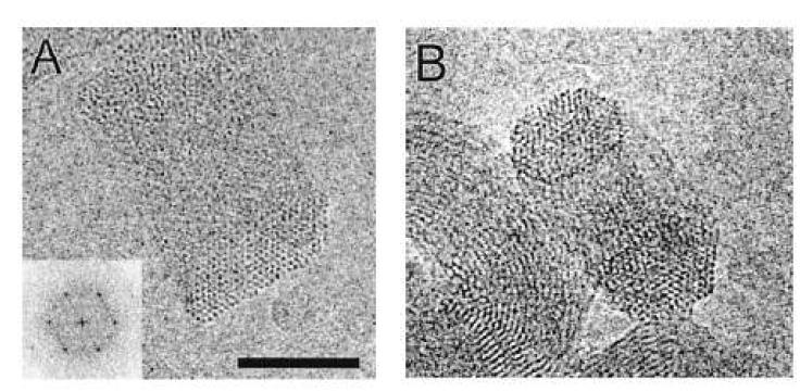 현미경의 상 평면(Image Plane)에 대하여 약 90도 기울어진 평면 위에 놓인 λ-DNA 토로이드(Toroid)의 저온전자 현미경 사진들이다.