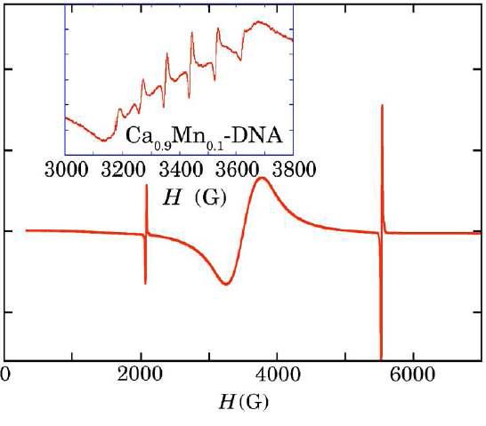 X-band 에서의 Mn-DNA의 실온 EMR 스펙트럼