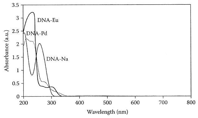 DNA-금속 복합체 수용액의 UV-Vis 스펙트럼
