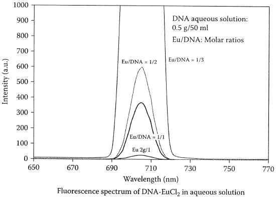 DNA/Eu³⁺용액 내 Eu³⁺의 증가에 따른 형광 세기