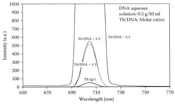 DNA/Tb³⁺용액 내 Tb³⁺의 증가에 따른 형광 세기
