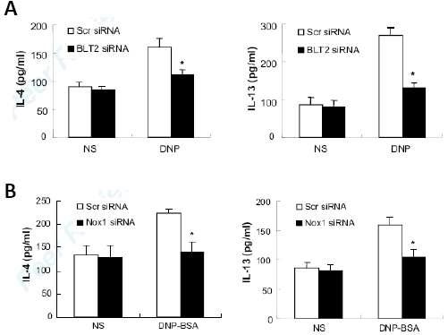 BLT2-Nox-ROS의 신호전달체계에 의한 비만 세포의 Th2cytokine 생성 조절