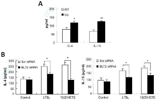 BLT2 과발현 mice를 이용하여 BLT2와 BLT2 ligand에 의한 비만세포의 IL-4, IL-13의 생성 조절 관찰