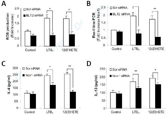BLT2 과발현 mice에서 BLT2-Nox-ROS의 신호전달체계에 의한 Th2 cytokine 생성 조절