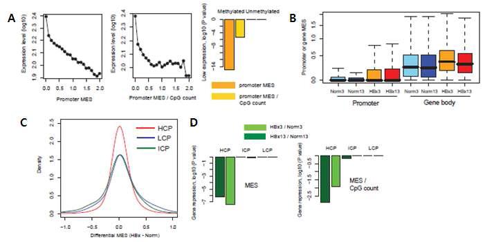 Promoter analysis of DNA methylation