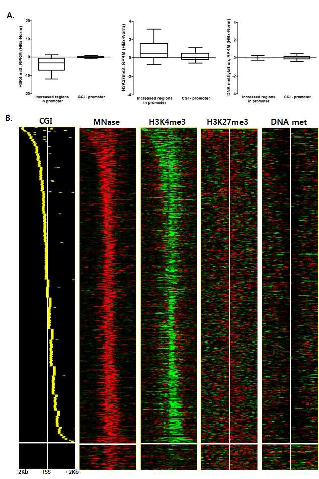 초기 간암 발생 과정에서의 Nucleosome occupancy 변화 분석