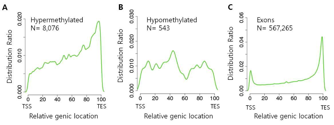 DNA methylation 의 gene-body 내 분포.