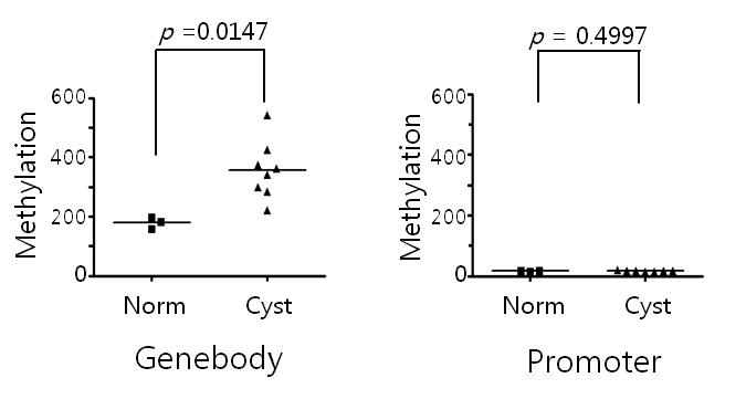 PKD1 gene-body 의 methylation 정도.