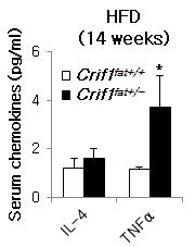 혈중 pro -inflammatory cytokine TNFα와 anti-inflammatory cytokine, IL4