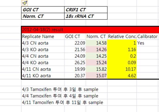 Tamoxifen투여 일에 따른 CRIF1 q-PCR결과