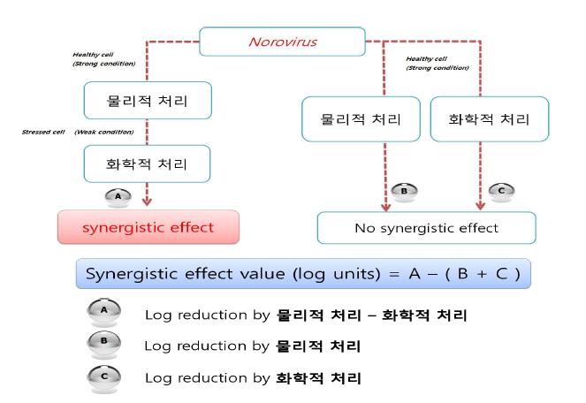 연구 flow chart