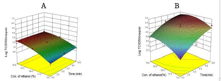 Effect of ethanol and UV Combined treatment of FCV(A) and MNV(B) on stainless steel surface.