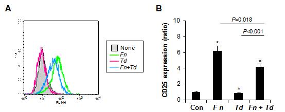 TLR2 activation by Fn is decreased by co-infection with Td. The CHO/CD14/TLR2 reportercells were stimulated with Fn, Td, or Fn+Td at the MOI of 100 for each bacterium for 16 h.