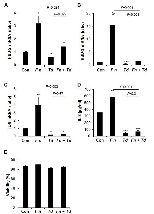 Expression of HBDs and IL-8 by co-infection of Fn and Td. HOK-16B cells were infectedwith either Fn or Td alone or together at the MOI of 1000 for each bacterium for 24 h.