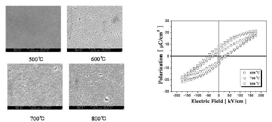 BZT 박막의 표면 FESEM 사진 및 PE 곡선