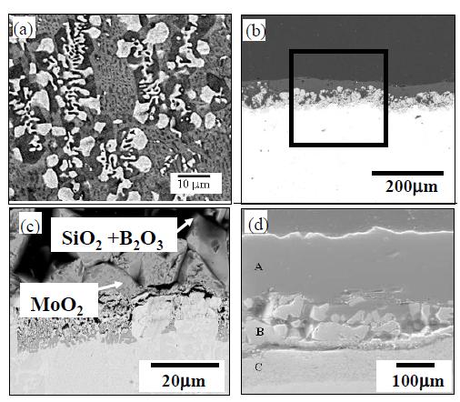 (a) Mo-14.2Si-9.6B 합금 주조조직의 SEM 이미지 (밝은색: Mo, 회색: Mo3Si,흑색: Mo5Si3B2)(b)1000°C 에서 공기중에 100시간 노출된 후의 SEM이미지 (c) SEM 확대사진 ((b)의 사각형) (d) 1100 °C 에서 공기중에 100시간 노출된 후의 SEM이미지(A: Borosilicate층, B: MoO2,andC: 내부 산화층).