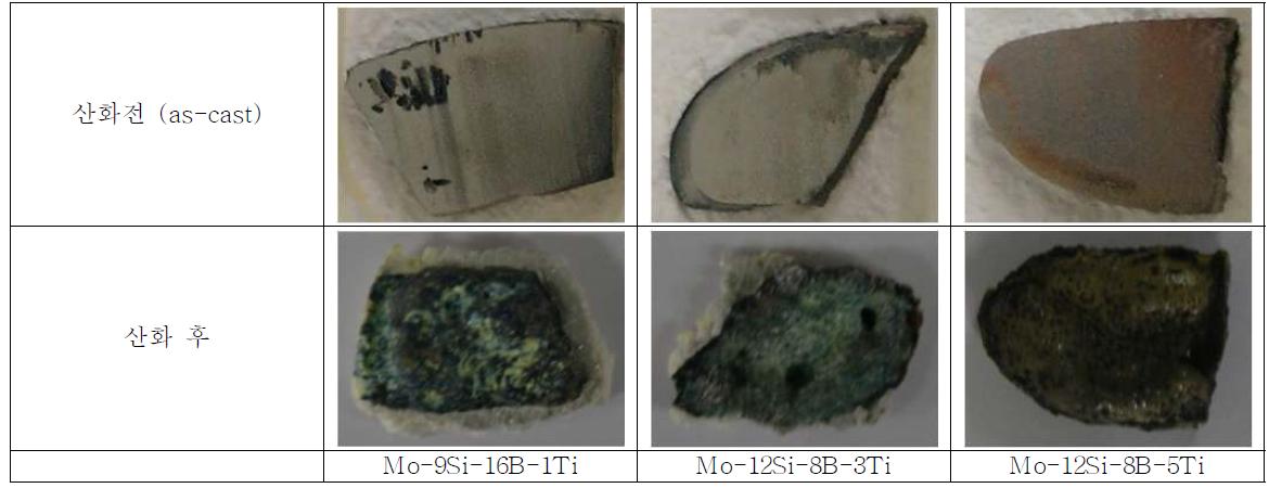 800℃에서 25 시간 유지하였을 경우의 시험편 외관