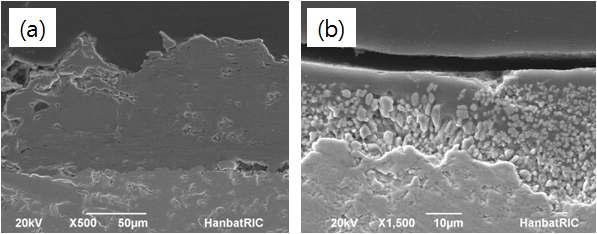 (a) Ti 코팅된 상태의 단면, (b) 코팅후 산화된 시험편의 단면조직