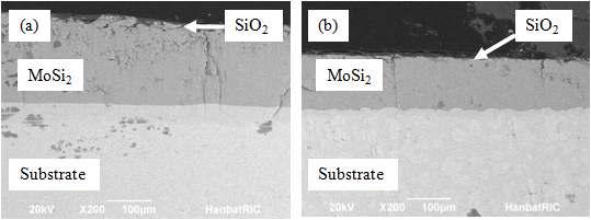 코팅하지 않은 상태에서 산화된 (a) Mo-9Si-16B 와 (b) Mo-12Si-8B 합금 (1100 ℃, 25 시간)