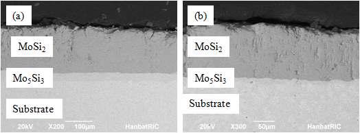 코팅한 상태에서의 단면 (a) Mo-9Si-16B 와 (b) Mo-12Si-8B 합금