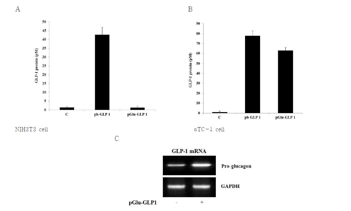 Specific expression of pGlu-GLP-1 in alpha cells