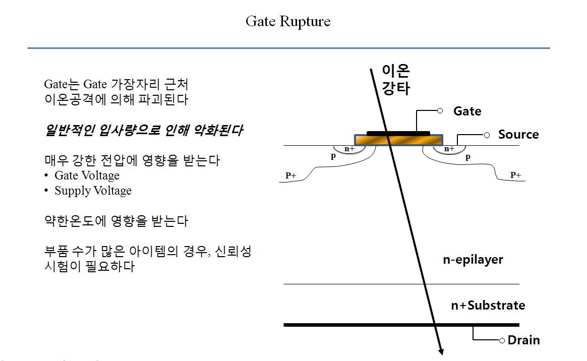 Single Event Gate Rupture (SEGR)