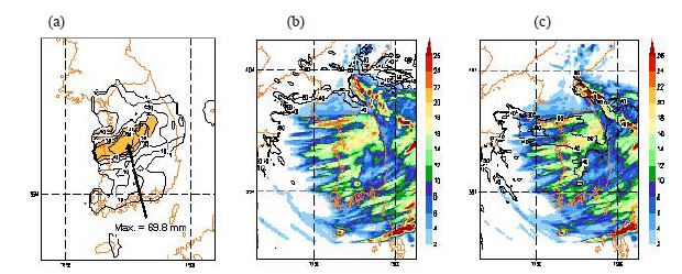 Fig. 10.2 (a) Observed 36-hr accumulated precipitation (mm) ending at 1200 UTC 05 March 2004and simulate results from the (b) WSM6 and (c) WSM6_NEW microphysics schemes. Contour linesin (c) and (d) indicate the percentageof precipitation due to snow.