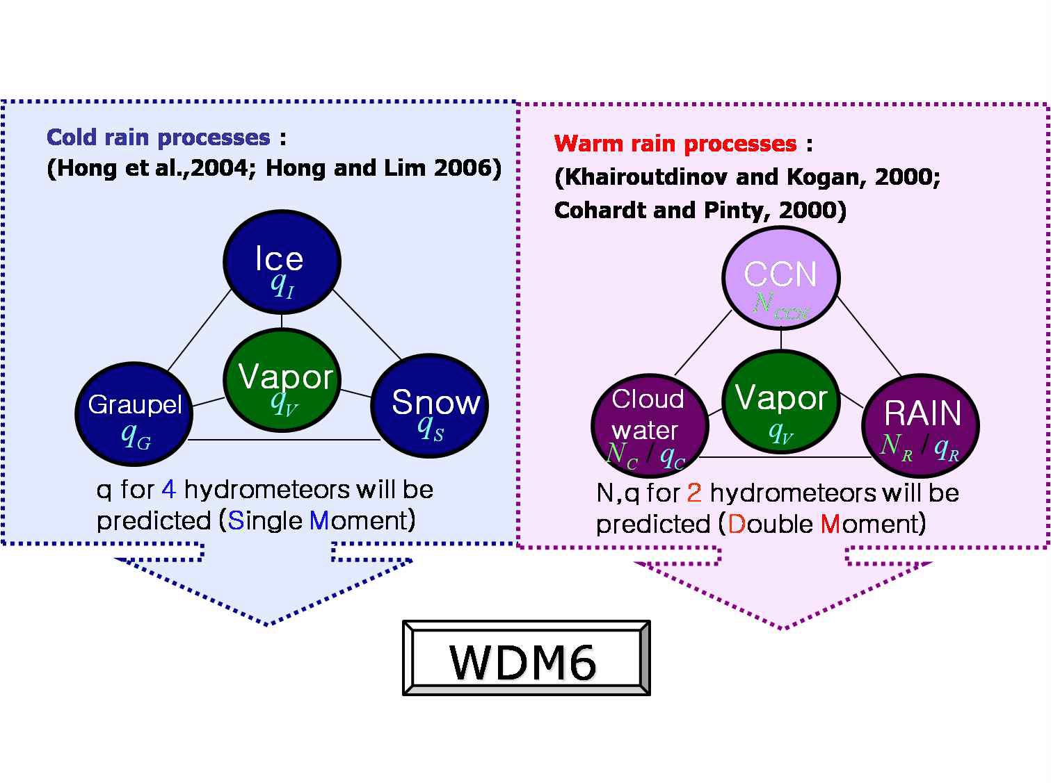 Fig. 10.3 Chart for the developmental strategy of the WDM6 microphysics scheme