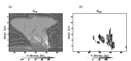 Fig. 10.10 Simulated number concentrations (cm -3) of the (a) CCN and (b) cloud water, obtainedfrom the WDM experiment at 6 hours. Cloud water mixing ratio corresponding to 0.01 is gkg-1 isalso represented in Figure 10.10b with a black solid line.