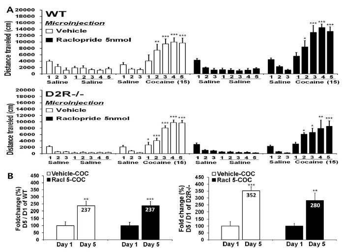 도파민 D2 수용체 길항제인 raclopride 5nmol을 중격의지핵에 주입하였을 때에 cocaine sensitization 이 유도되는 정도를 30분간 총 움직인 거리(cm)로 측정