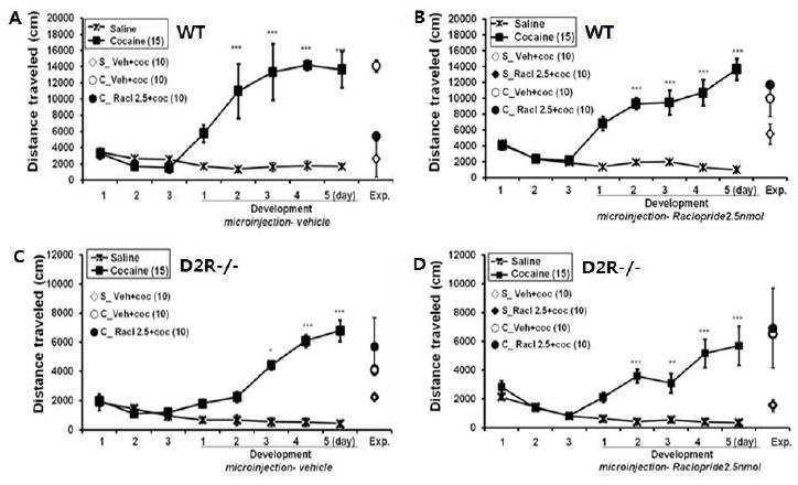 development와 expression시기 모두 도파민 D2 수용체 길항제 2.5nmol를 국소주입하였을 때, 코카인 민감화 행동에 미치는 영향