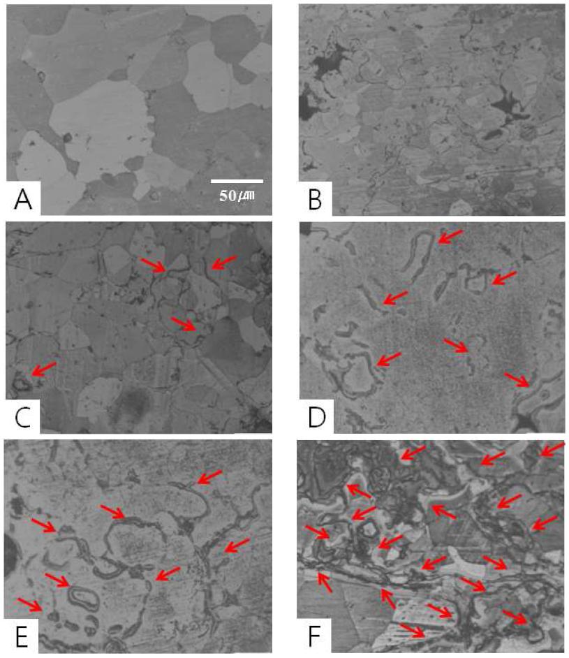 The optical microstructure of spray In-situ synthesis casting Cu-Al