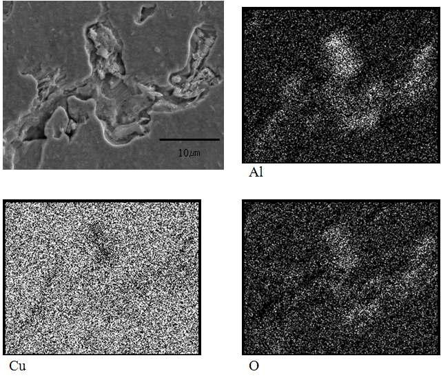 SEM/EDS analysis of spray In-situ synthesis casting oxygen volume 8%