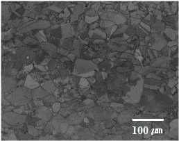 The optical microstructure of spark plasma sintering cross section.