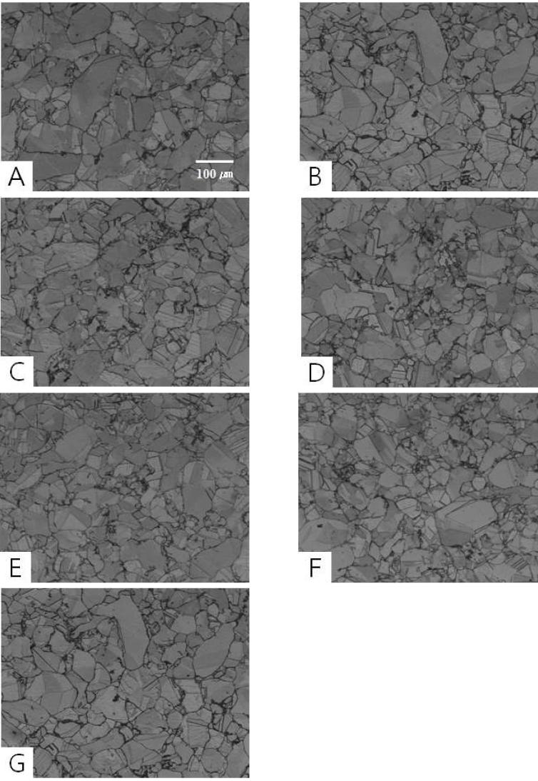 The optical microstructure of spark plasma sintering