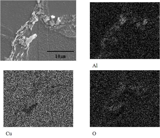 SEM/EDS analysis of spark plasma sintering