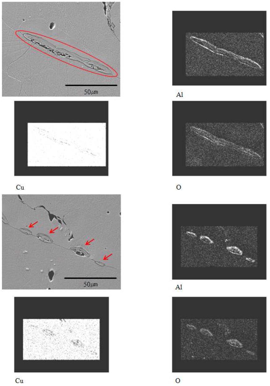 SEM and EDS analysis of Spray In-situ synthesis casting Cu-Al2O3