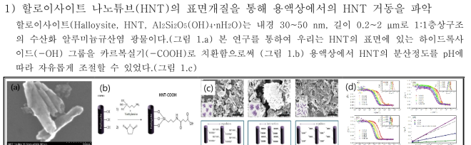 Halloysite SEM image. b) 표면치환한 Halloysite의 모델, c) pH에 따른 Halloysite SEM사진, d) Halloystie의 DLS data