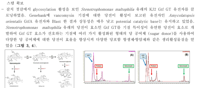 Gtf GT의 vancomysin 기질과의 당전이 반응 후 HPLC 분석