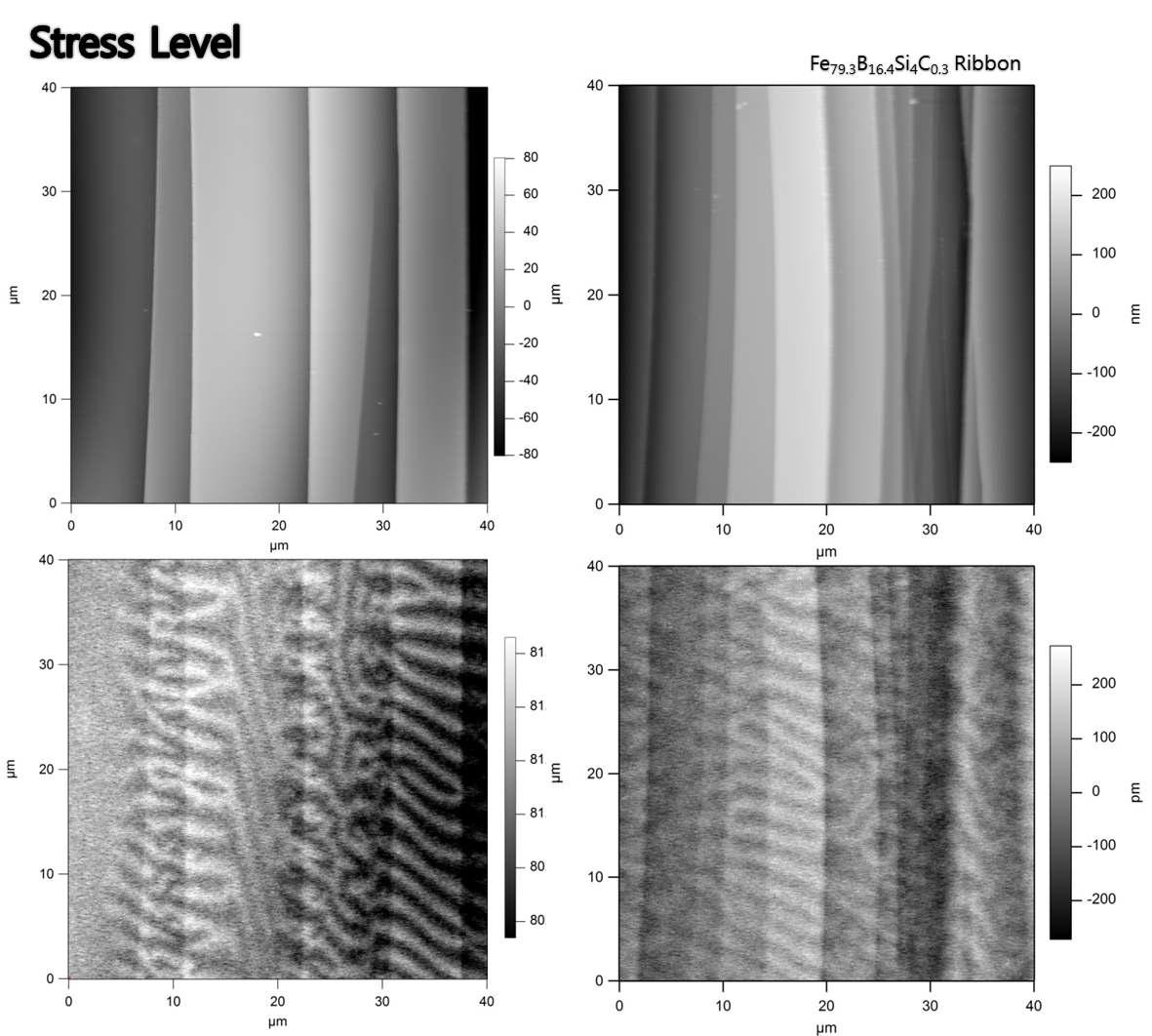 Observation on magnetic structure using MFM