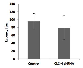 Passive avoidance test in the CLC-4 knock down mouse