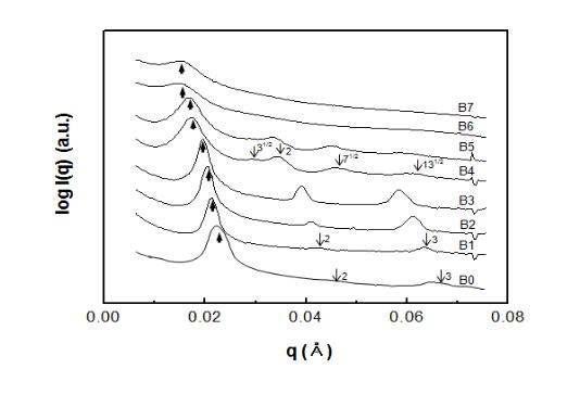 PS-b-PMMA와 PS-b-PMMA/PVDF 블렌드의 SAXS 프로화일