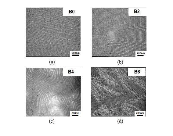 PS-b-PMMA와 PS-b-PMMA/PVDF 블렌드의 TEM 이미지