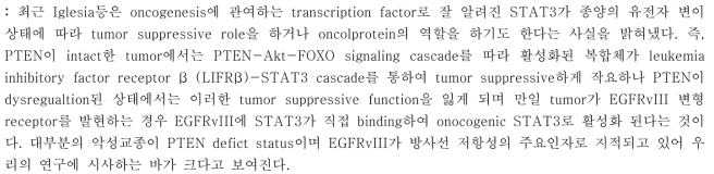 Dural role of STAT3