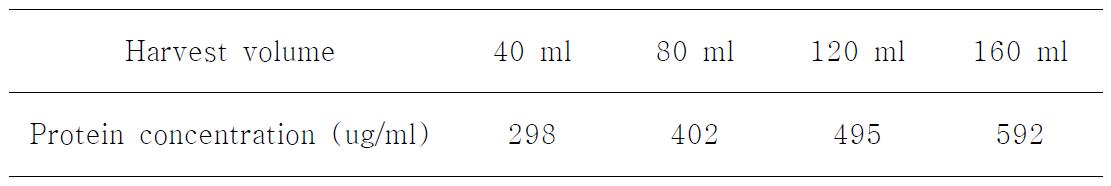 배양액 양을 달리하여 수확한 AR cell의 세포 파쇄 유도로 용출된 단백질양
