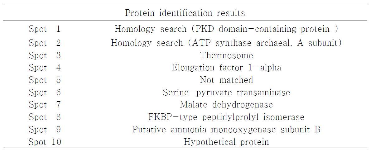 질량분석기를 이용한 단백질 동정 결과