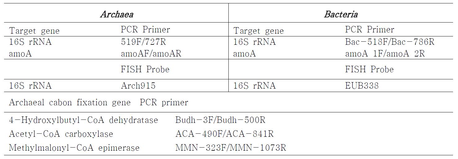 Primer and probe sets used for library construction and real-time PCR quantification