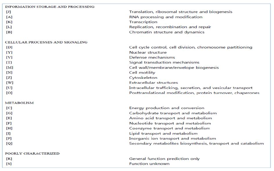 COGs 기능에 대한 functional category