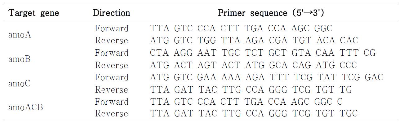 클로닝을 위해 제작된 amo primer 서열